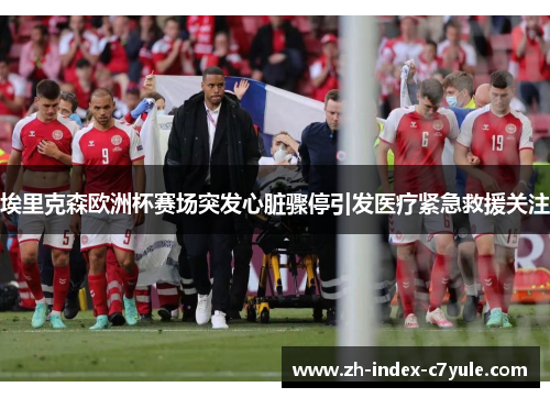 埃里克森欧洲杯赛场突发心脏骤停引发医疗紧急救援关注